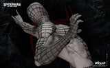 Wicked Spider man (Andrew Garfield)