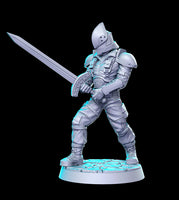 Knight of the order Classic JRPG 3D Printed Miniature