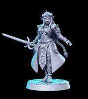 Zalidra (Elven Princess) LOZ 3D Printed Miniature